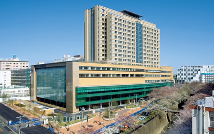 帝京大学医学部附属病院(病院)まで448m ハウスモモ