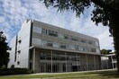 東京大学駒場図書館(図書館)まで298m こまばディモ－レ(842-1)