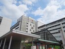 武蔵野赤十字病院(病院)まで240m HAPPY　ADVANCE