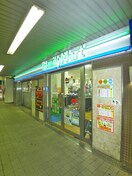 ファミリーマート(コンビニ)まで570m 丸山ハイツ