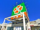 ライフ(スーパー)まで887m Confort City Masuo