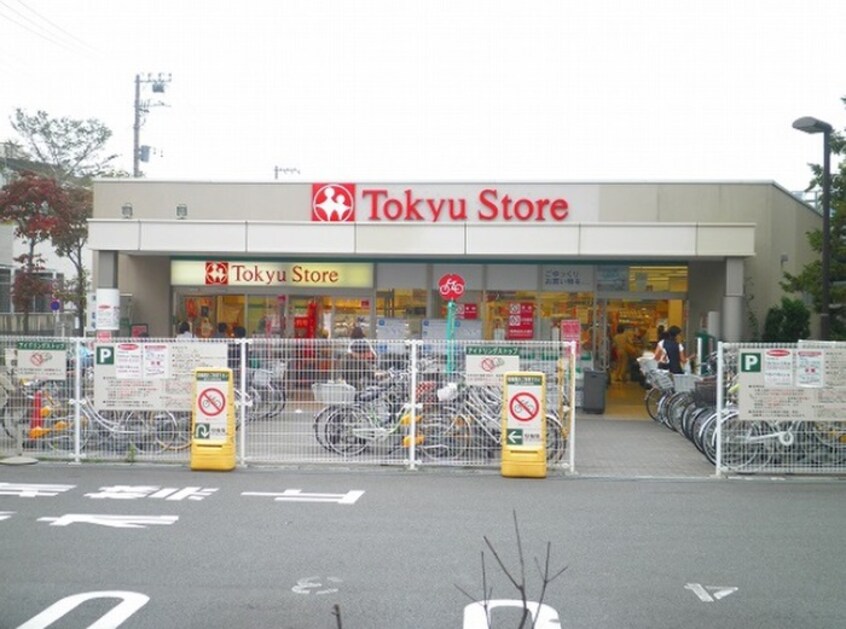 東急ストア大岡山店(スーパー)まで199m ハイツクリザンテム