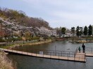 もえぎ野公園(公園)まで252m ボナ－ルもえぎ野