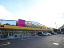 FitCareDepot久末店(ドラッグストア)まで400m グリーンヒル