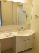 洗面 第５コスモスヴィラ