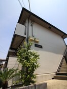エントランス部分 エバ－グリ－ン