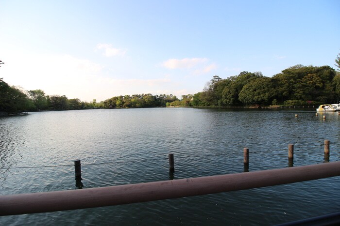 洗足池公園(公園)まで937m ドミール洗足池