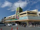 マミーマート(スーパー)まで800m アメリカンリバティ小手指Ⅱ