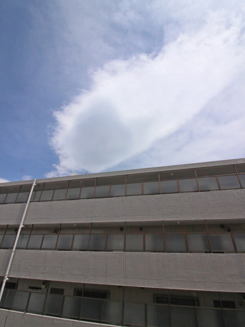 室内からの展望 ステューディオ桜台