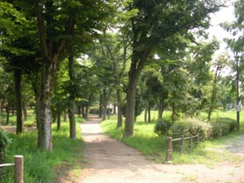 小柳公園(公園)まで750m スタンザ府中