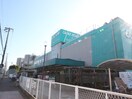 カインズホーム(電気量販店/ホームセンター)まで760m Ｎ－ＳＴＡＧＥ獨協大学前