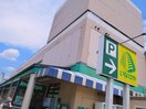 いなげや 狛江東野川店(スーパー)まで159m フレ－ズ