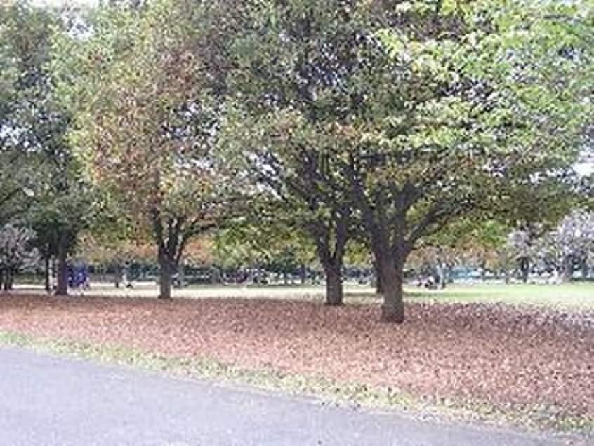 新小岩公園(公園)まで1700m アリエッタ