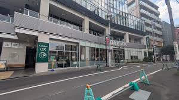 OdakyuOX向ケ丘遊園店(スーパー)まで283m ルミアージュ登戸