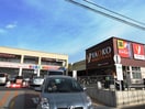 ヤオコー(スーパー)まで1333m インパルス