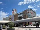 イトーヨーカドー 南大沢店(ショッピングセンター/アウトレットモール)まで1481m スズキパル下柚木