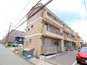 完成写真