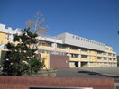 宮内小学校(小学校)まで410m カナディアンハウスＡ