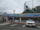 ローソン 磯子森五丁目店(コンビニ)まで293m イフェズＰＡＬ磯子