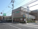 サミットストア石神井公園店(スーパー)まで504m GRAN PASEO石神井公園