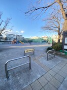 木下川中央公園(公園)まで130m ローランギャロス四ツ木