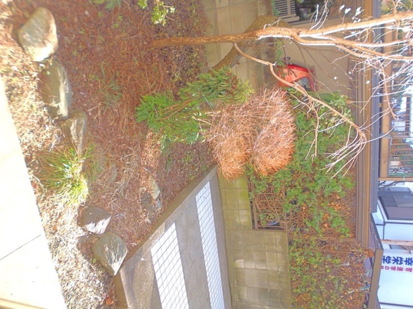 その他 尚栄ハウス