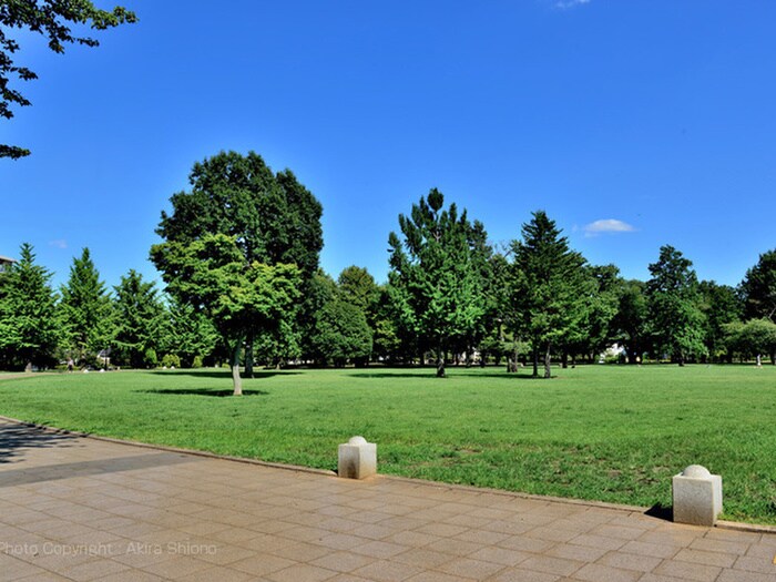 武蔵国分寺公園(公園)まで550m ラスール・イナⅥ