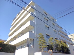 パサニア(507)