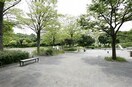 港南台西公園(公園)まで400m パラドールこうなんだい