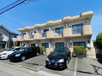 コ－ポル－ドルフィア