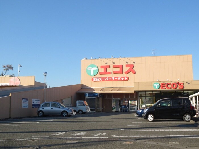 エコス(スーパー)まで600m プラムハイム市川NO.1