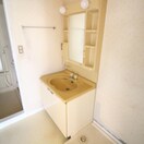 洗面 ロイヤルタウン下九沢