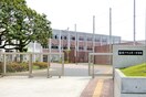 藤沢市立第一中学校(中学校/中等教育学校)まで282m リヴェール鵠沼