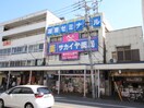 サイカヤ薬局　追浜店(ドラッグストア)まで450m 追浜パルマーニャ
