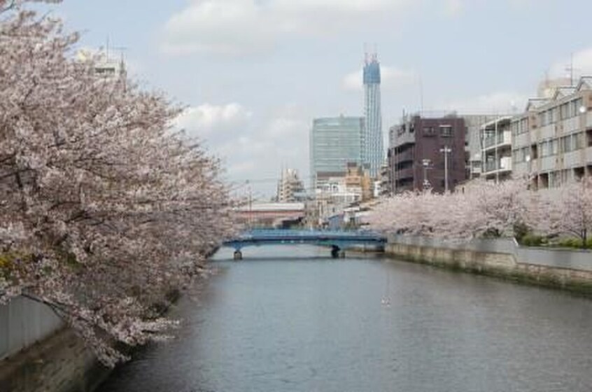 大横川(公園)まで464m メゾン大島イースト