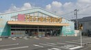 FitCareDEPOT相模大野店(ドラッグストア)まで307m アルカディア相模大野