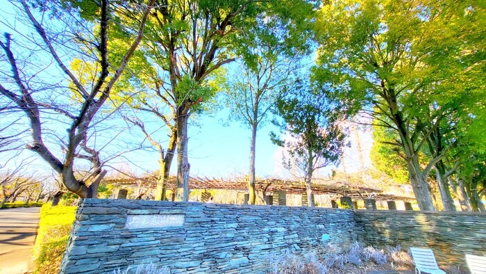 上尾丸山公園(公園)まで1500m Ｓマンション上野