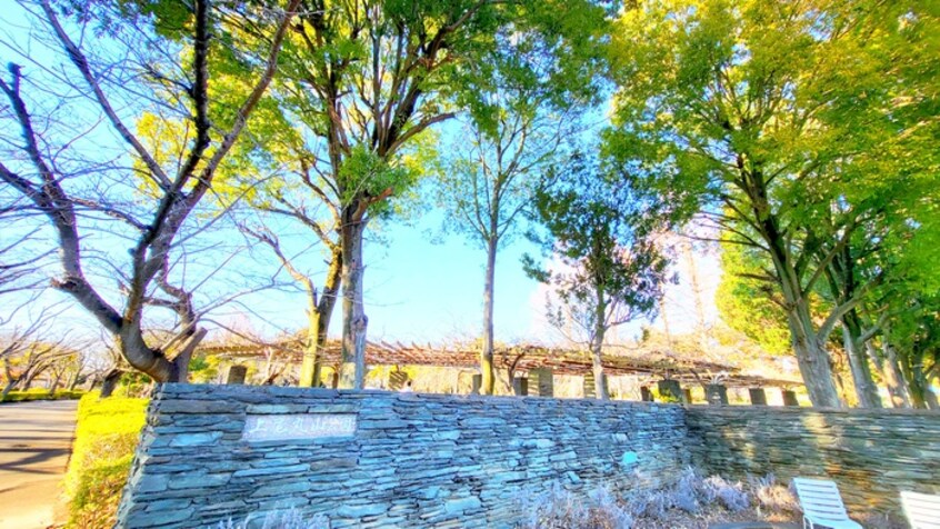 上尾丸山公園(公園)まで1500m Ｓマンション上野