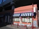 ジョナサン(その他飲食（ファミレスなど）)まで500m 渡辺ビル