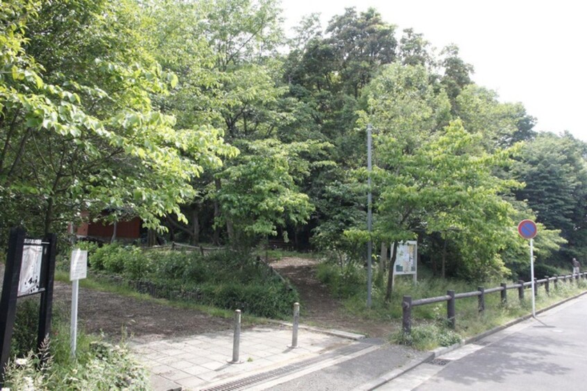 境木ふれあいの樹林(公園)まで117m ヒルサイドコ－ト東戸塚