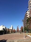 大横川親水公園(公園)まで46m パークサイド錦糸町レジデンス