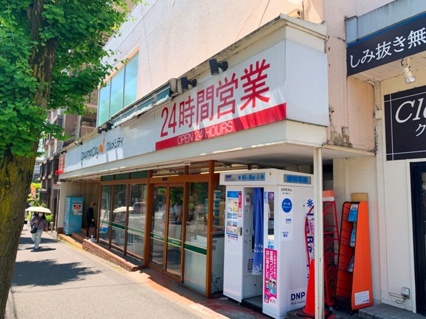 グルメシティ　横浜藤が丘店(スーパー)まで307m 田園ハイツ藤が丘(104)