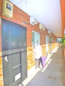 エントランス部分 ブラウンハイツ