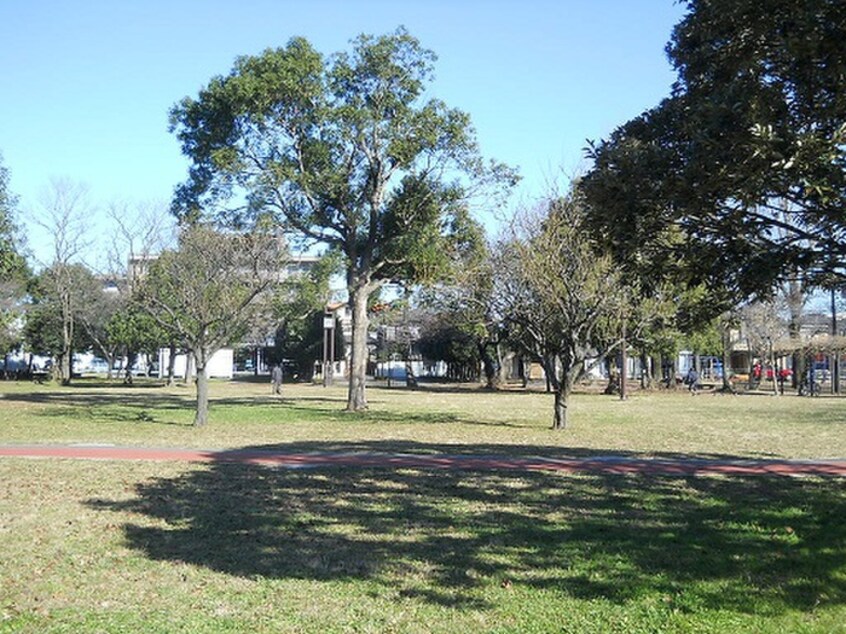 三ツ和公園(公園)まで280m パ－クハイツヨコテ