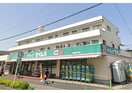 セイムス(ドラッグストア)まで202m 仮)ﾘｰﾌﾞﾙﾌｧｲﾝ草加清門