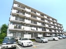 ゴールドクレストの外観
