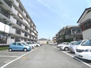 駐車場 ゴールドクレスト