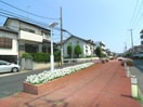 その他 ゴールドクレスト
