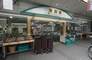 スーパー・マルヤマ藤棚店本店(スーパー)まで335m エクセルコ－ト