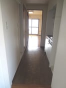廊下 ギンガム瑞江